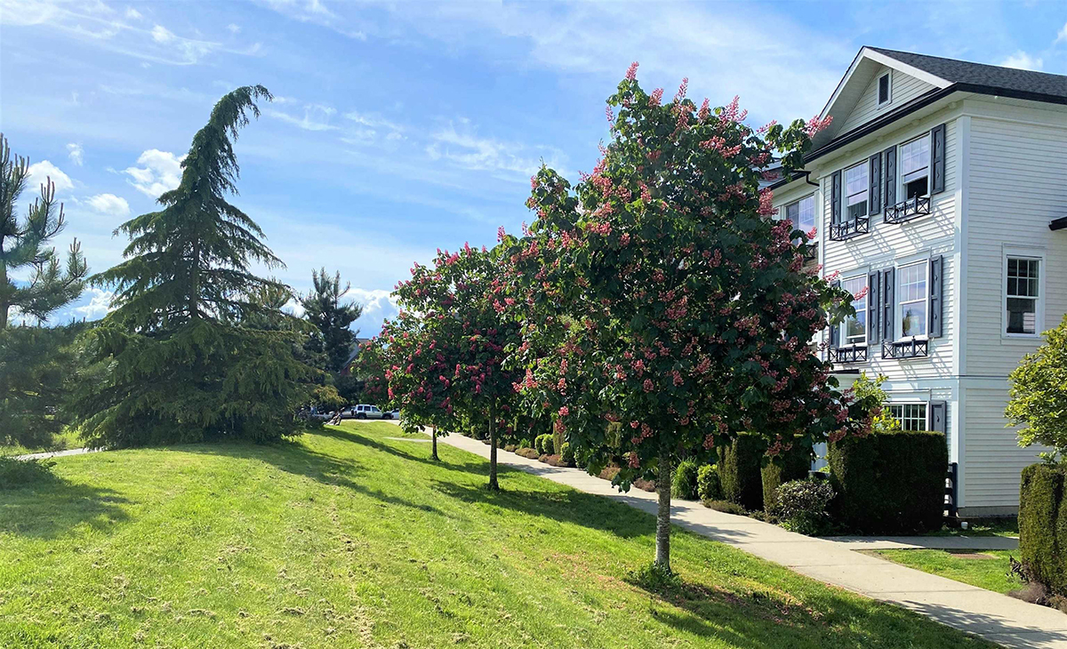 14 7348 192A Street, Cloverdale 3