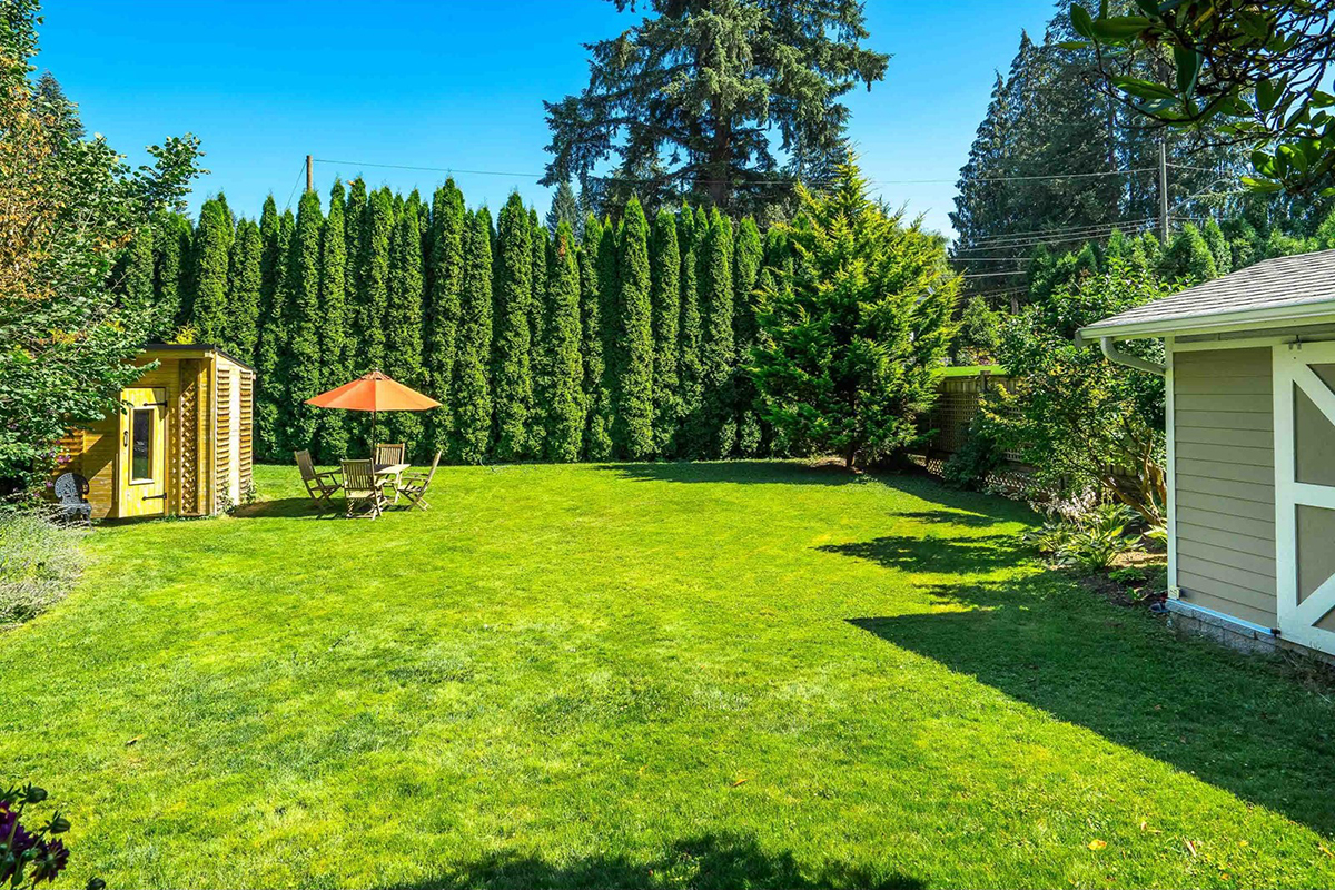 9147 Queen Street, Langley 6