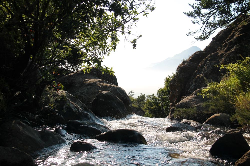Maple Ridge